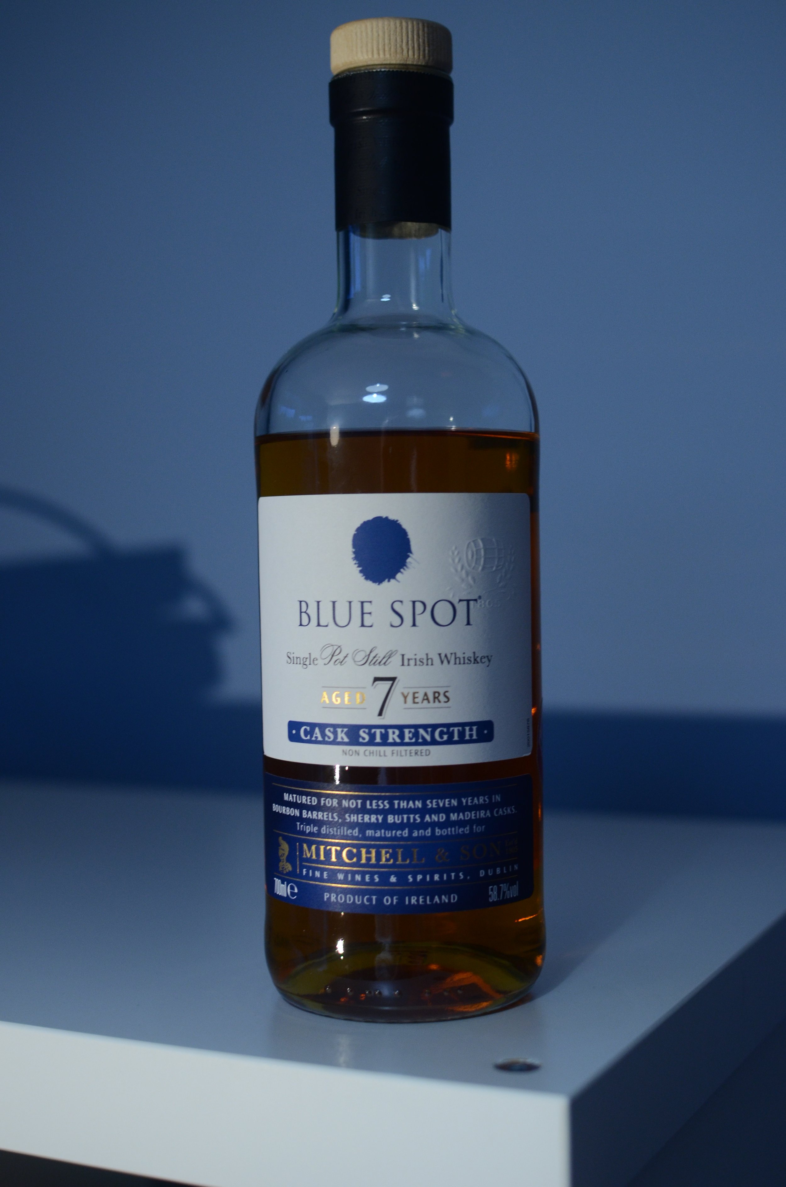 Blue Spot 7yo — Dramface Blue Spot 7yo — Dramface